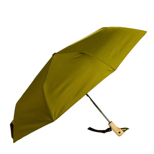 Umbrellas